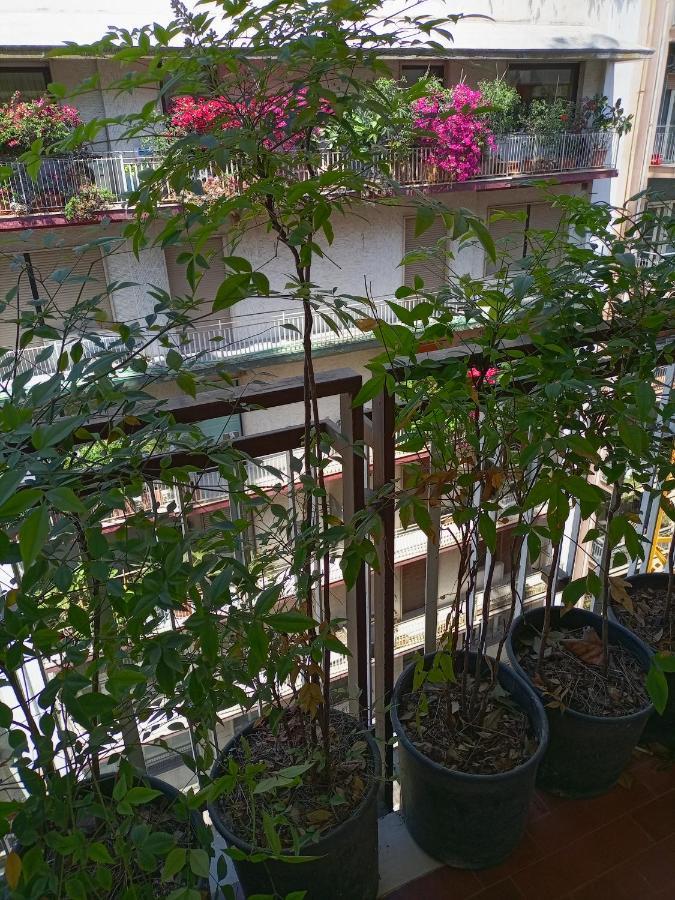 Apartament Gianna House *