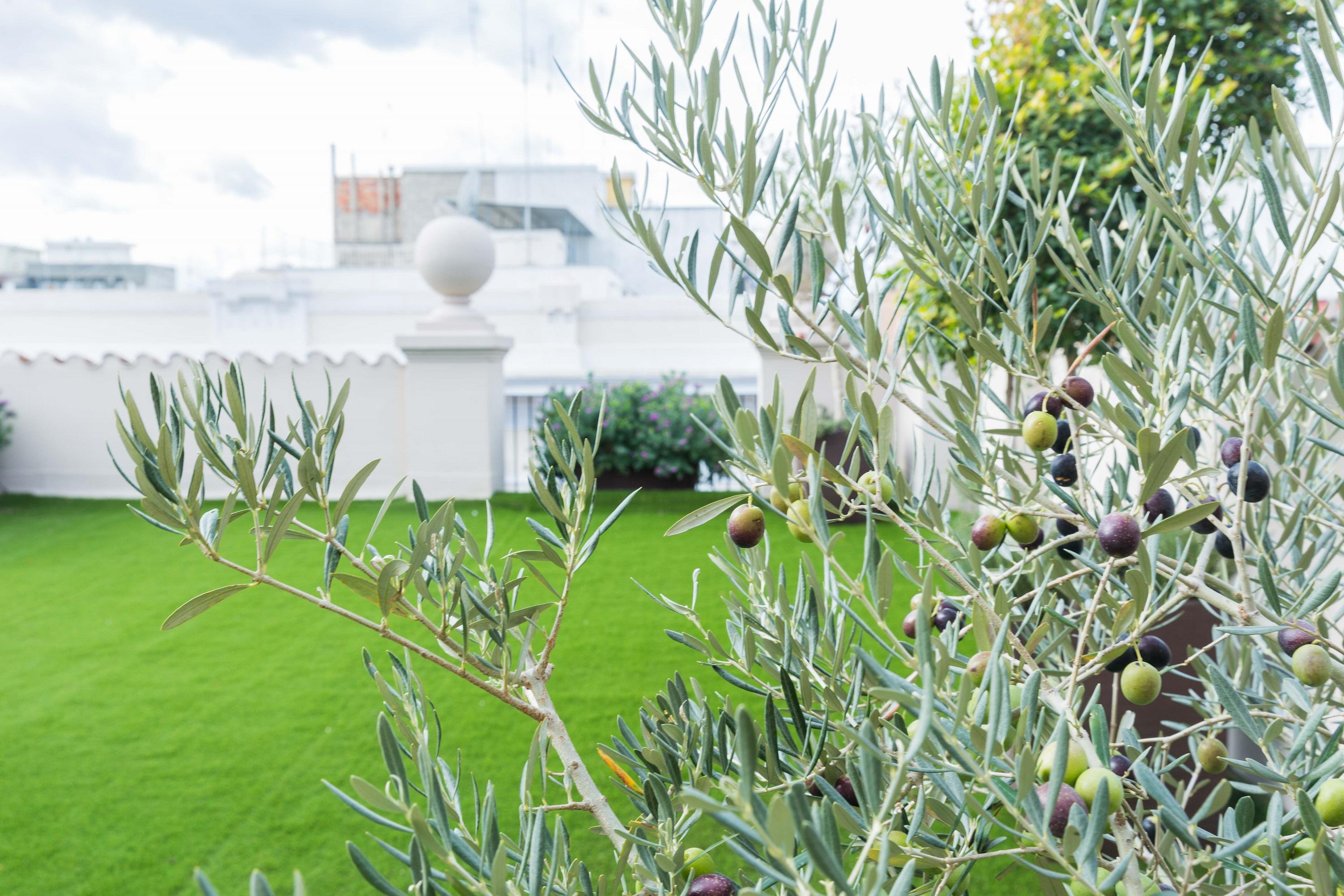 Bed & Breakfast 200 & Terrace 3*