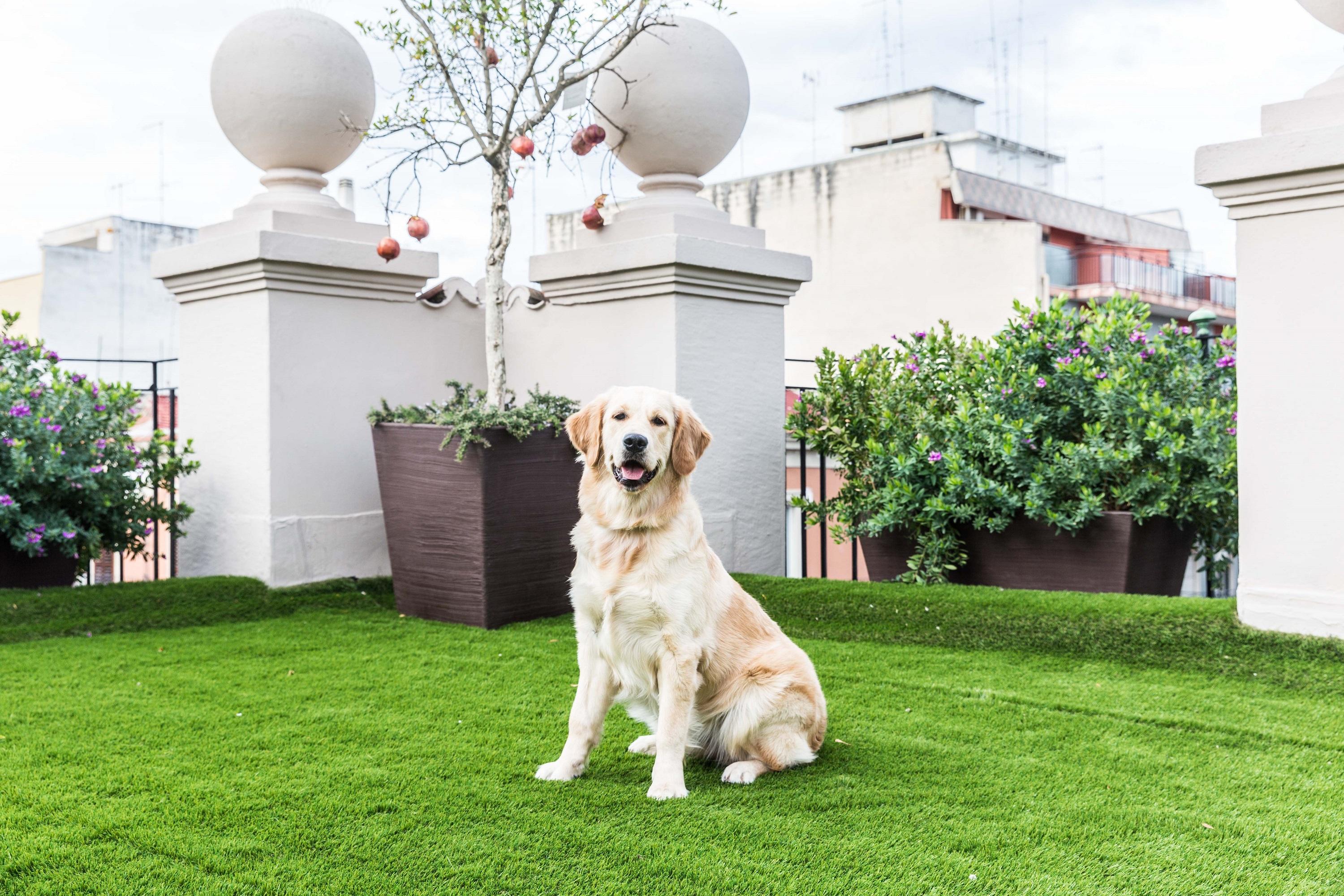 Bed & Breakfast 200 & Terrace