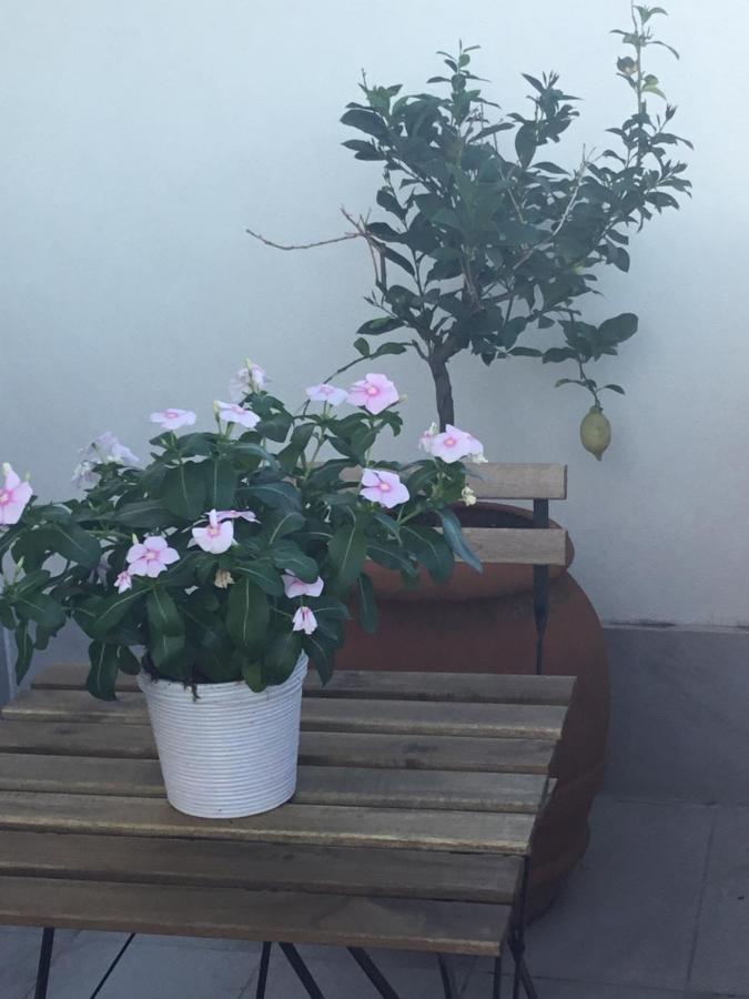 L'attico Del Centro Tra Il Petruzzelli Ed Il Mare Apartment Bari