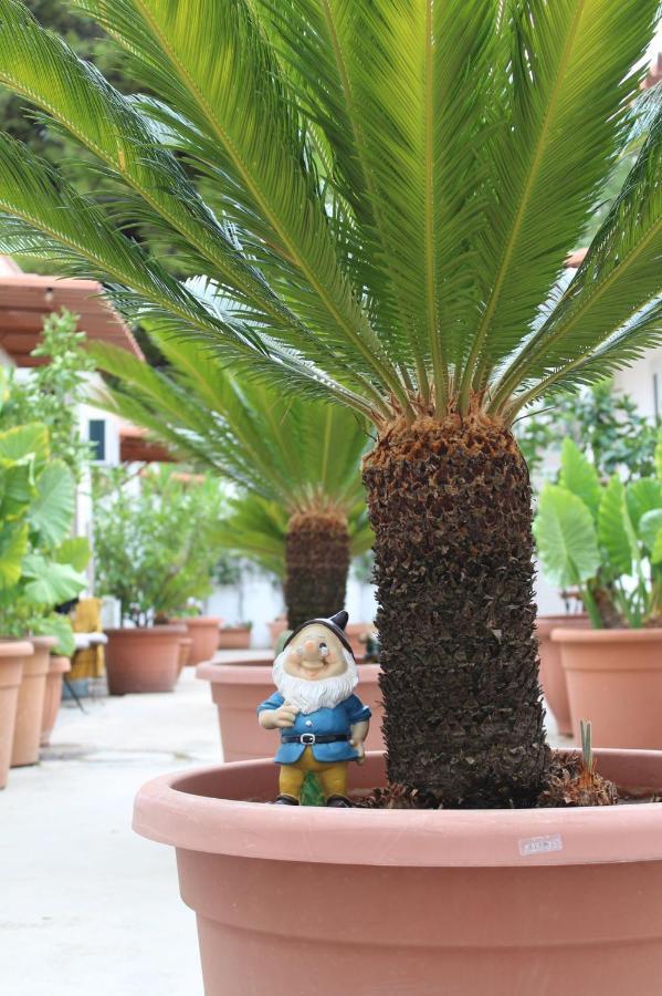 I Giardini Di Edicart * Bari