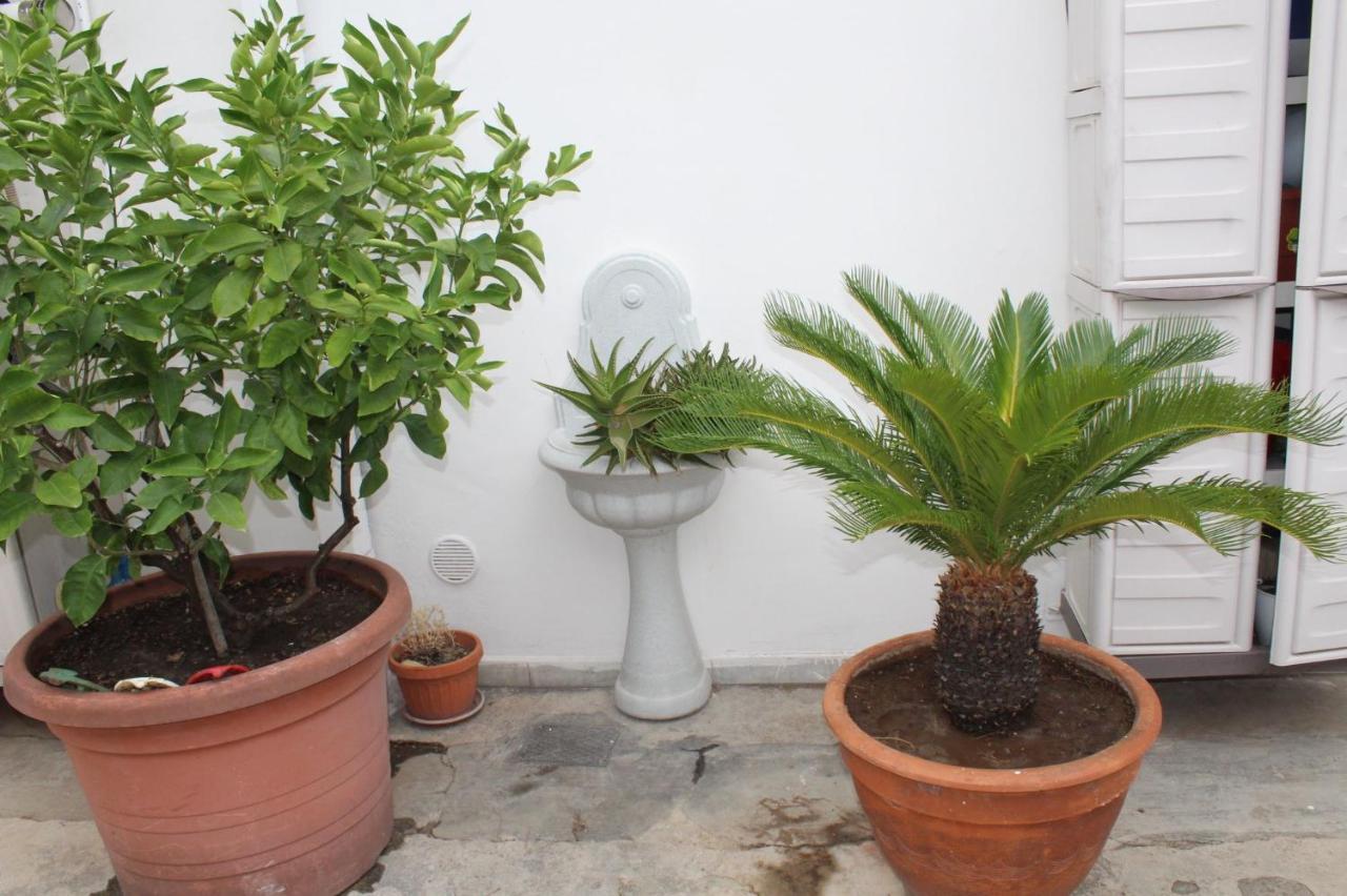 I Giardini Di Edicart * Bari