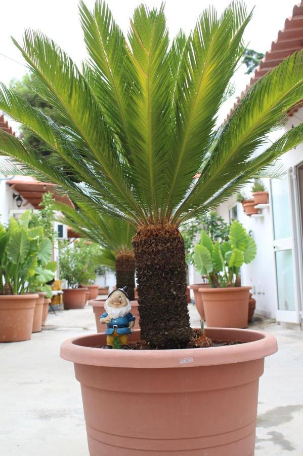 I Giardini Di Edicart Appartement Bari