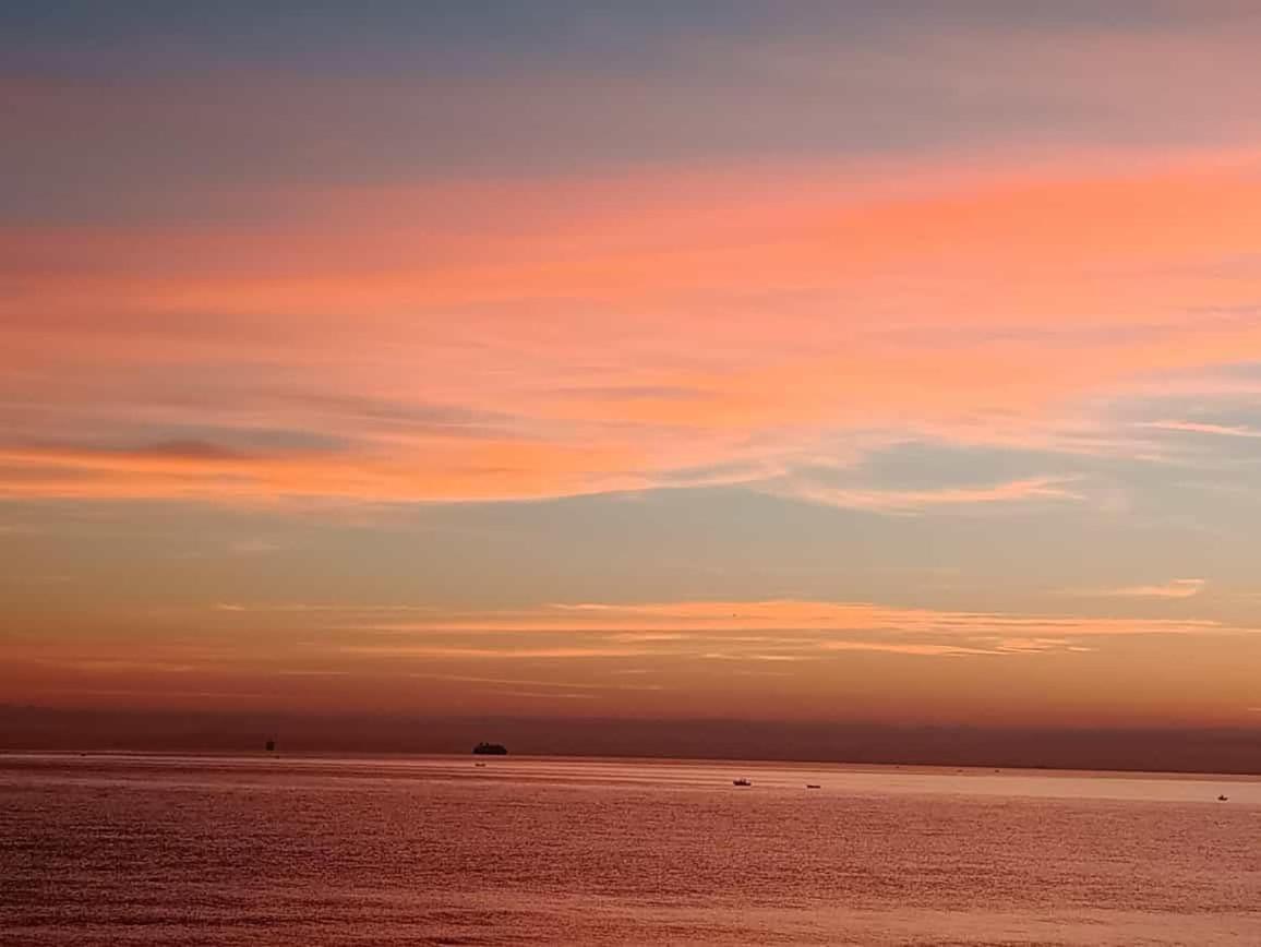 Palese Profumo Di Mare