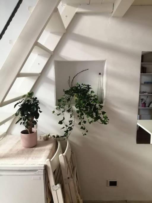 Apartament Appartamentino Incantevole A *