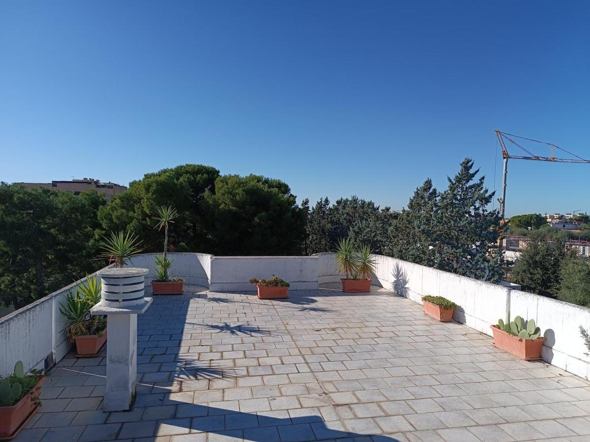 The Terrace Of The Artists *
