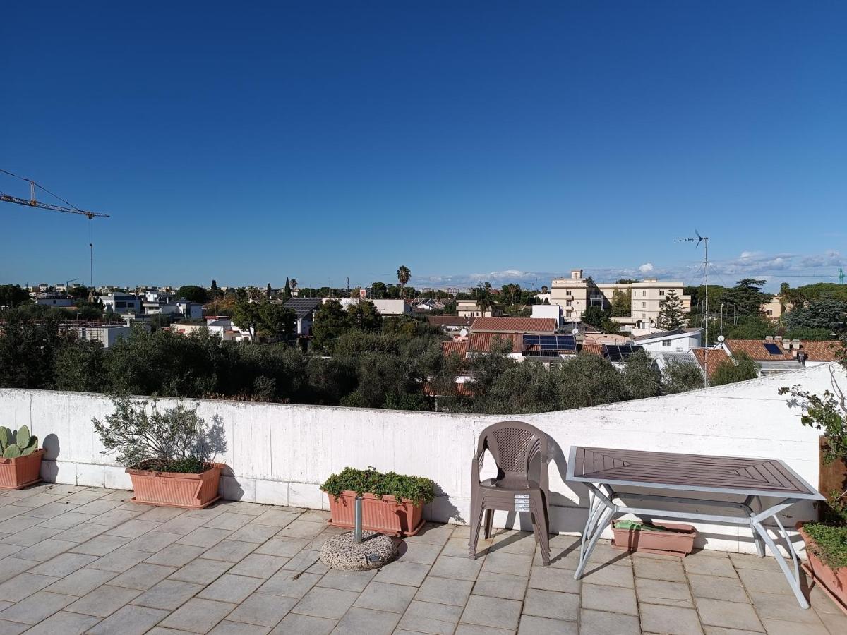 The Terrace Of The Artists Apartment