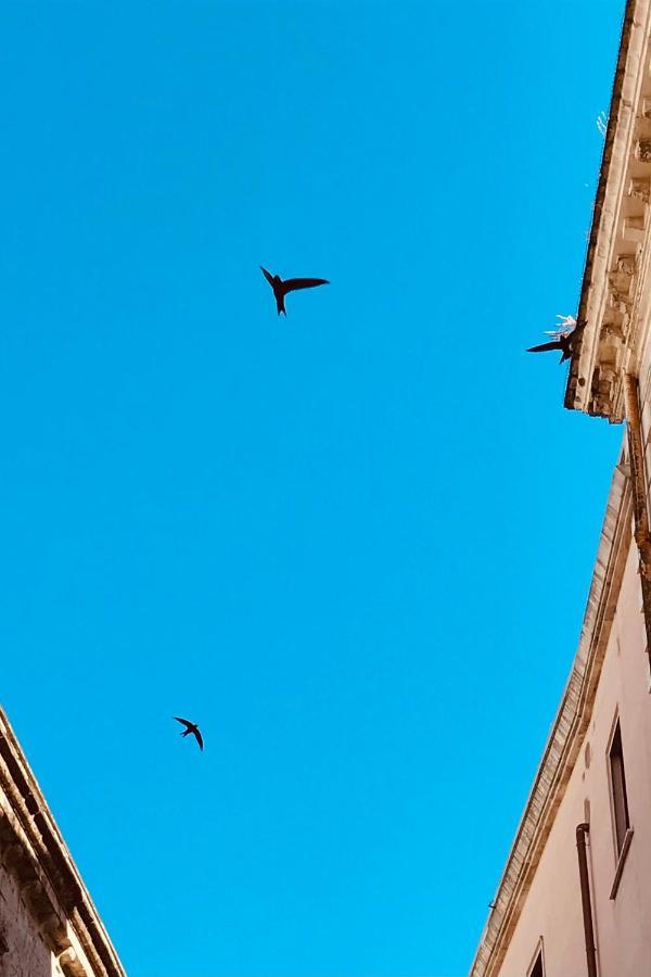 Via Dell'azzurra Bed & Breakfast