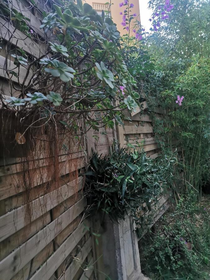 Soavis Flat & Garden