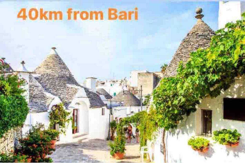 1800 * Bari