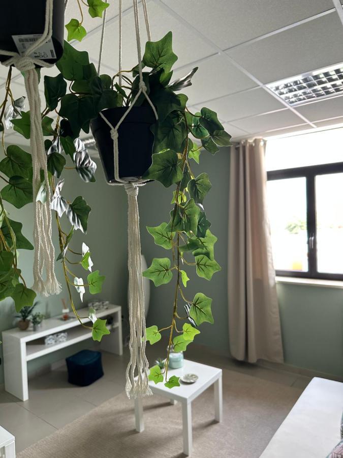 Botanical