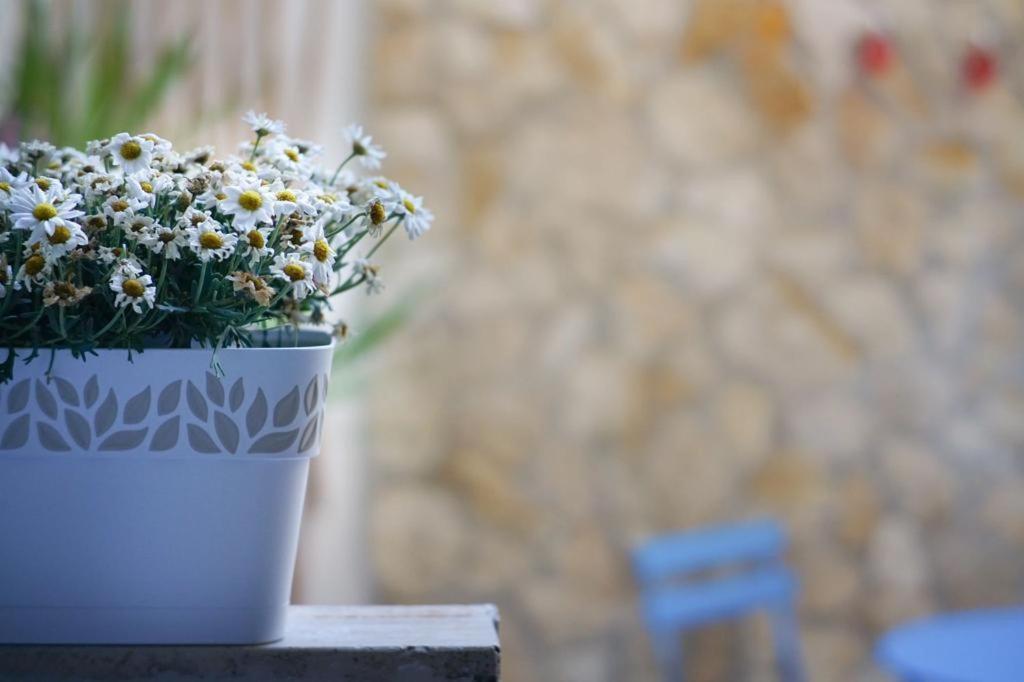 Blue Courtyard - Scardicchio Maisons * Bari