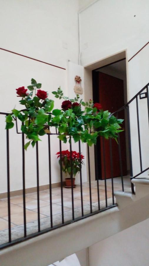 Guest house La Rosa Rossa *
