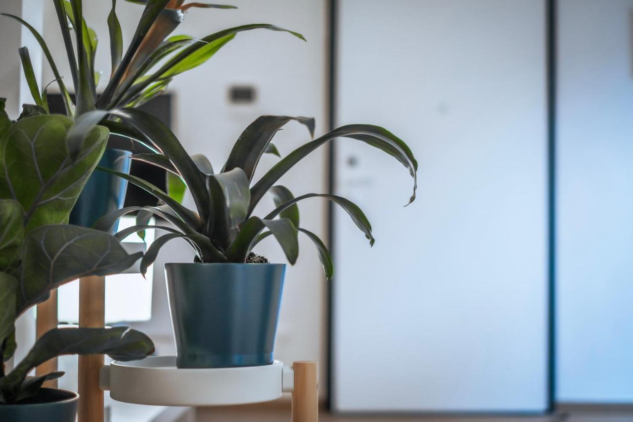 Apartament Jlh Aparts - Just Like *