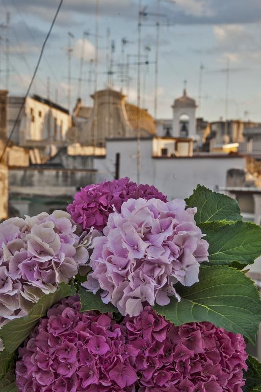 Le Nicchie Guest house Bari