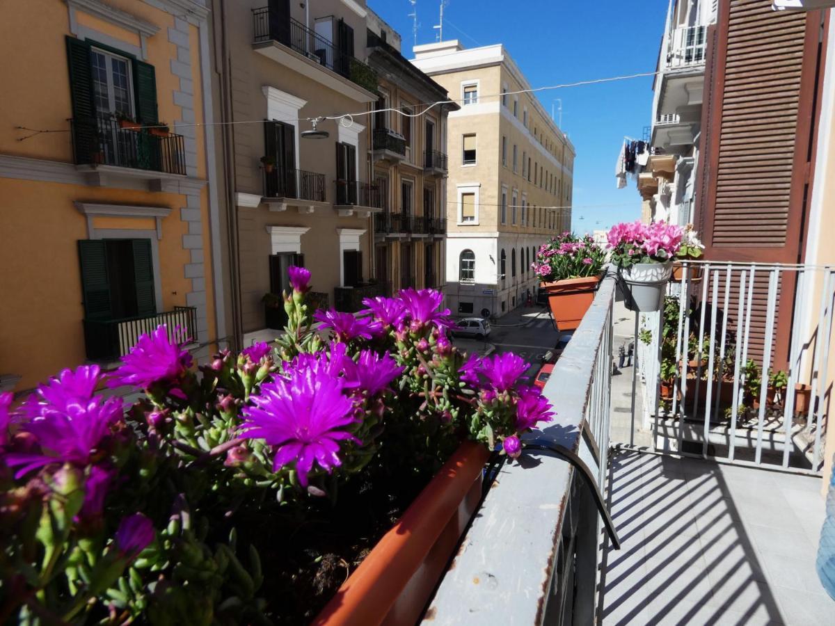 House Sasanelli Apartman *