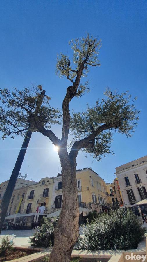 Appartamento Dimora Donna Vittoria - Vecchia *