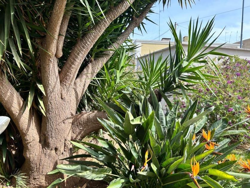 Giardino A Mare Apartment