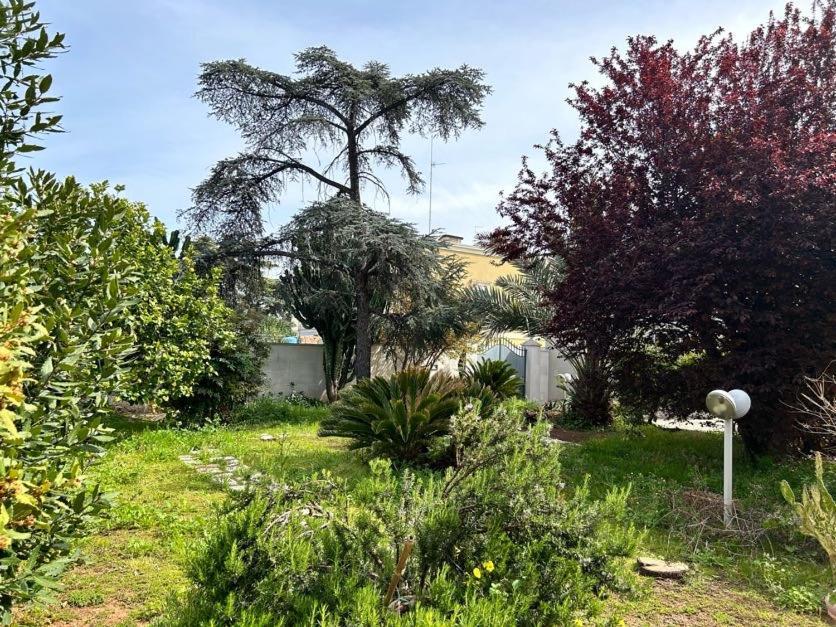 Giardino A Mare *