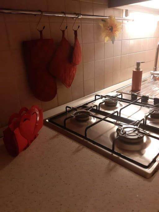 Apartment Olimpia House - Station *