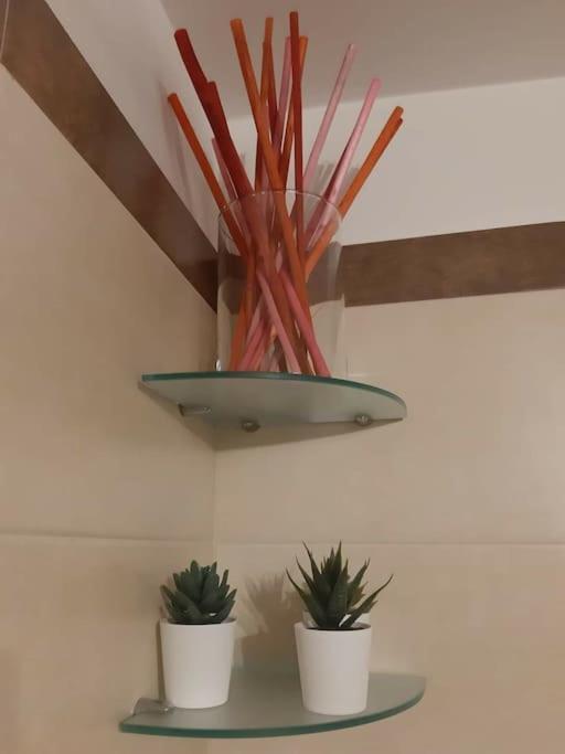 Apartment Olimpia House - Station Bari