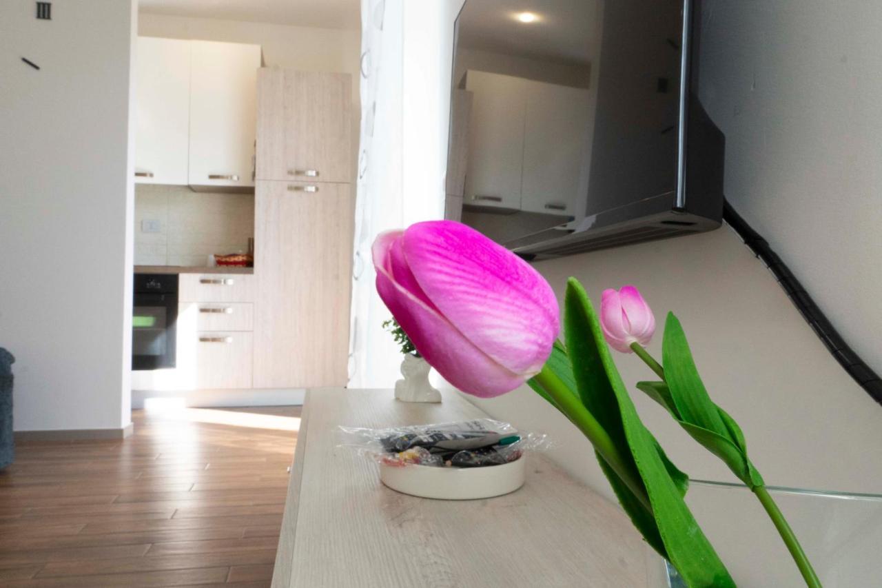 Apartamento 70125 Holiday