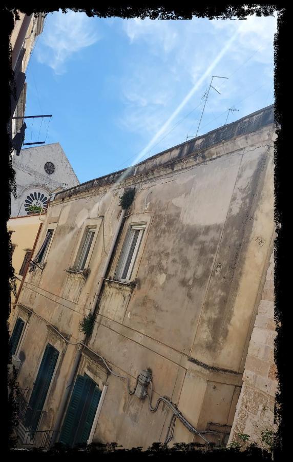 Palazzo San Rocco - Green *