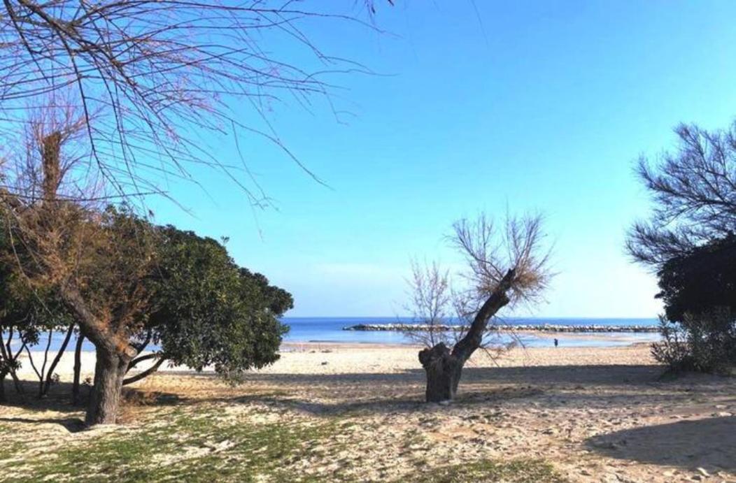 Apartman Dimora Mare