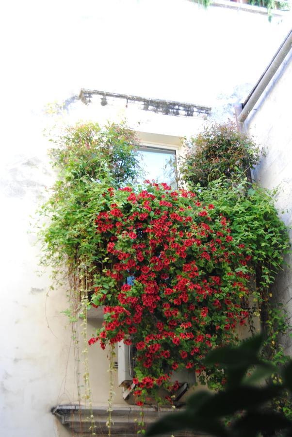 Appartamento Flo House