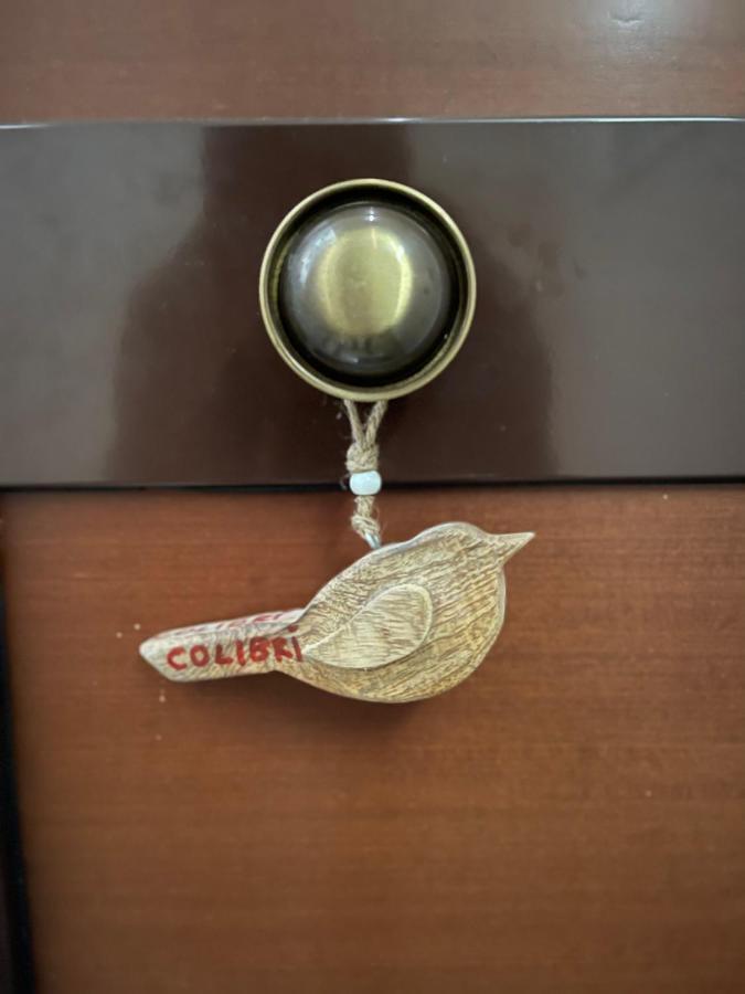 Apartament Colibri *