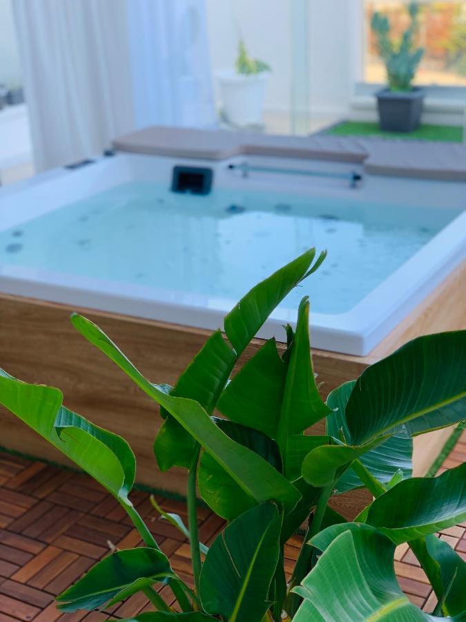Apartman Dalu Terrace