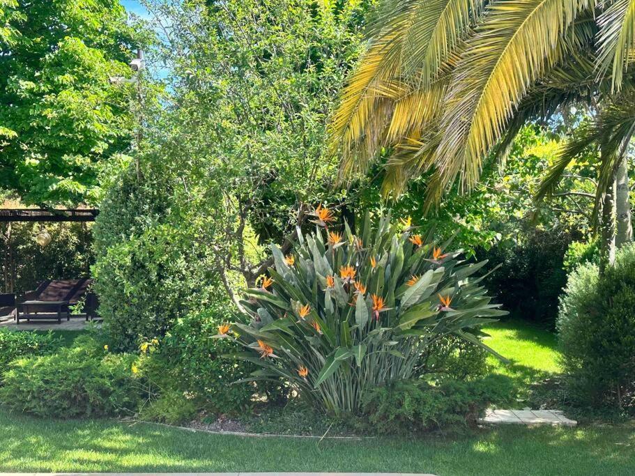 Apartament Luxury Giardini D'oriente &