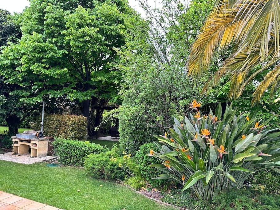 Apartament Luxury Giardini D'oriente & Bari