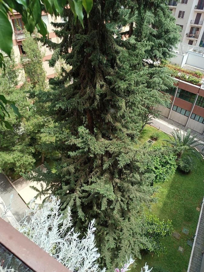 Carola Apartment *