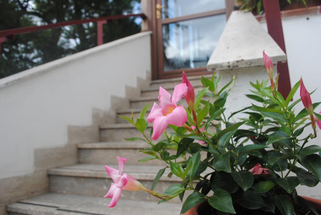 Bed & Breakfast Annavi Bari
