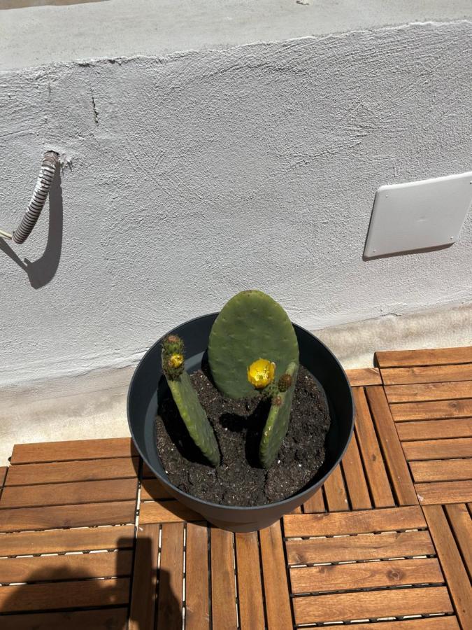 Apartment Dimora Del Borgo Antico Bari