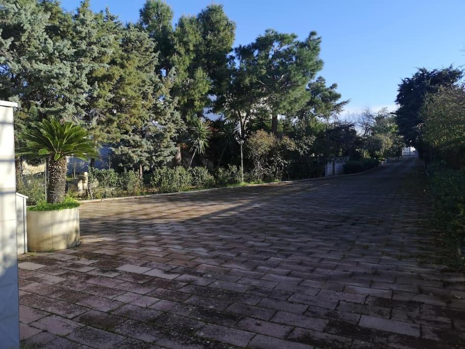 Lagioia 1 Bari
