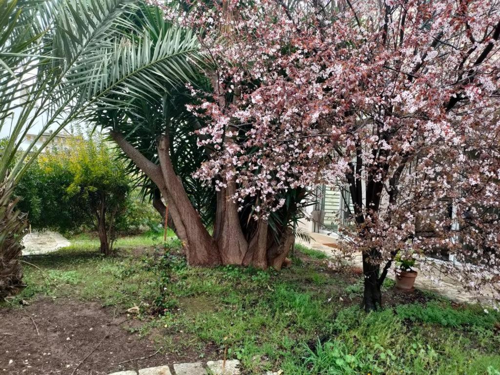 Giardino A Mare * Bari