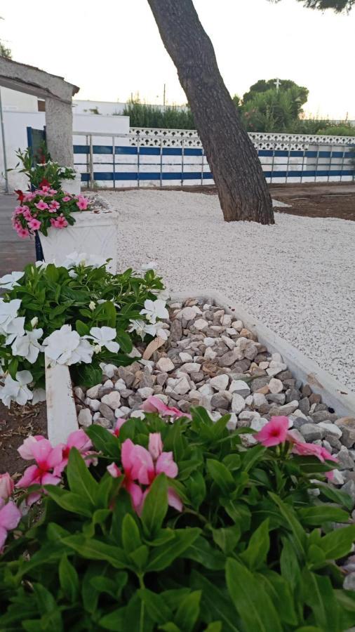 I Girasoli Srls Bed & Breakfast