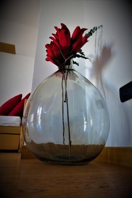 Apartment 68 - Comfort Moderno & Fascino Antico Bari