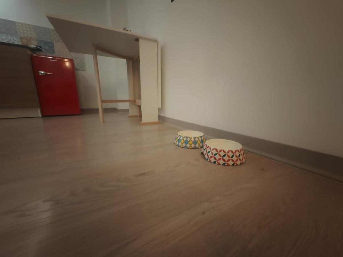 Apartament Mini Loft In Centro