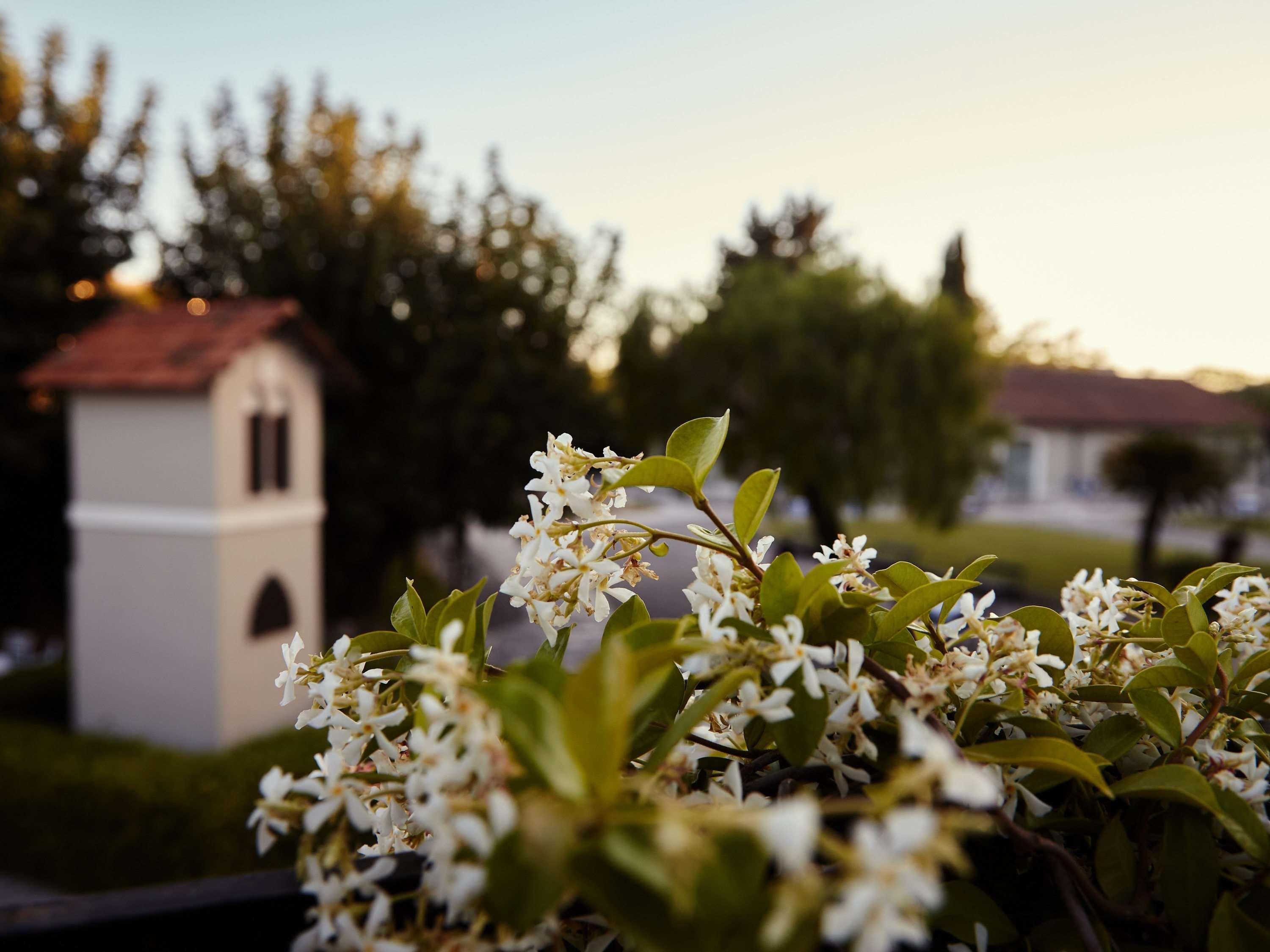 Mercure Romanazzi Carducci Hotel 4*