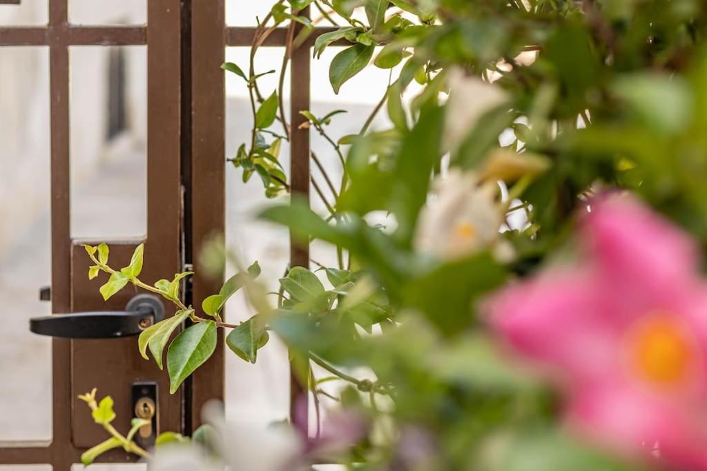 Apartment Cconforthotels Domus Venezia Bari