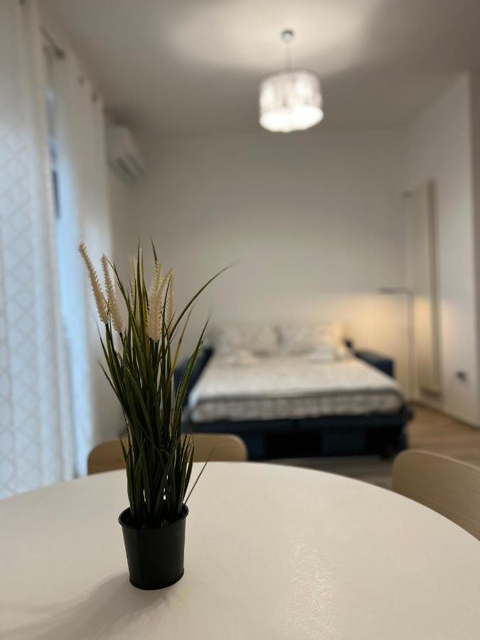 Tulip Luxury Howme Apartment Bari