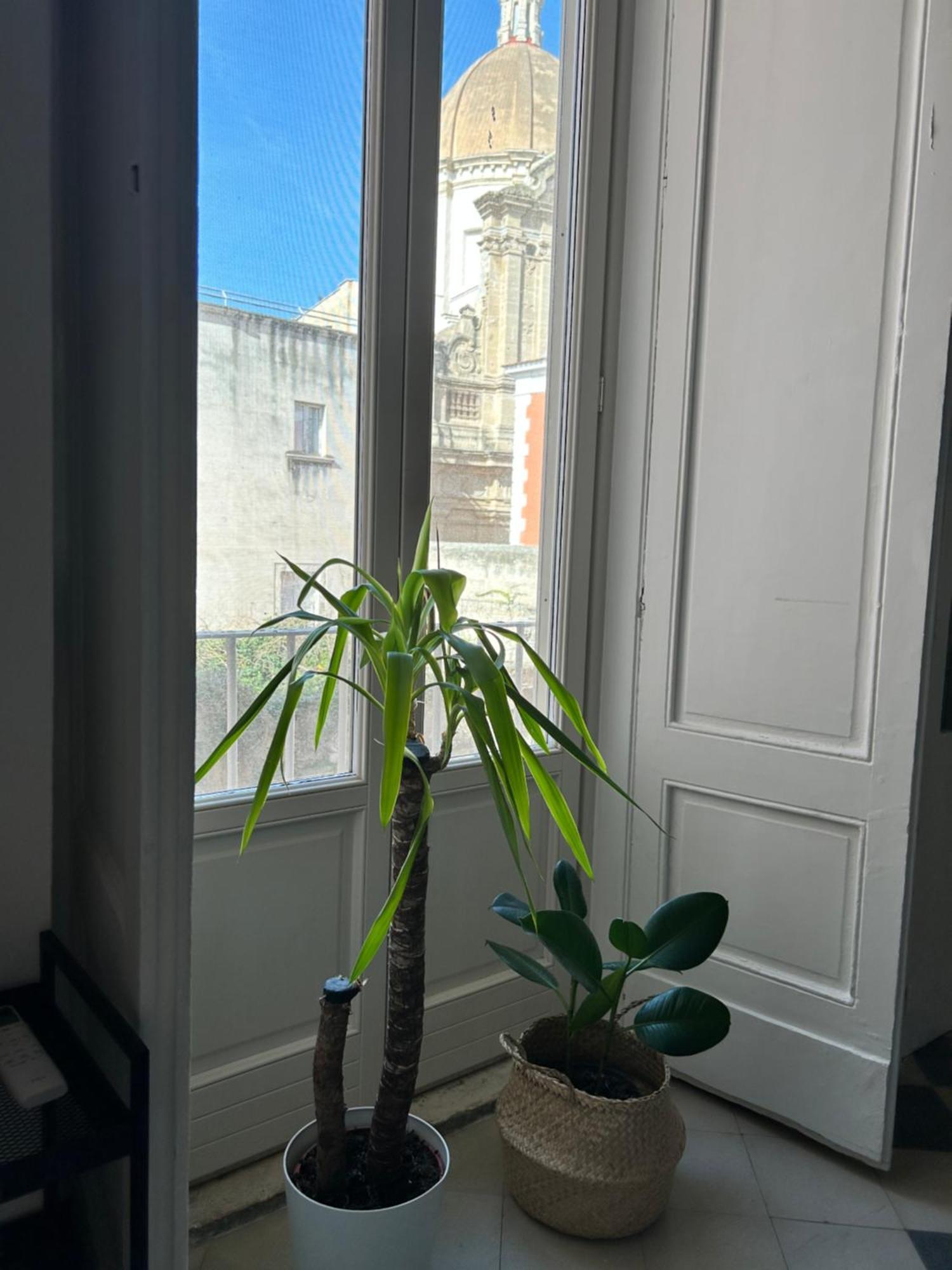 Apartamento Bivu *