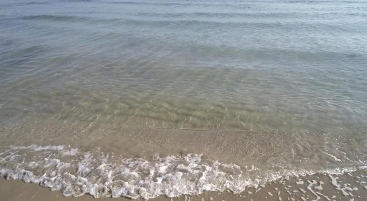 La Mia Terrazza Sul Mare - Mared'amare Appartement