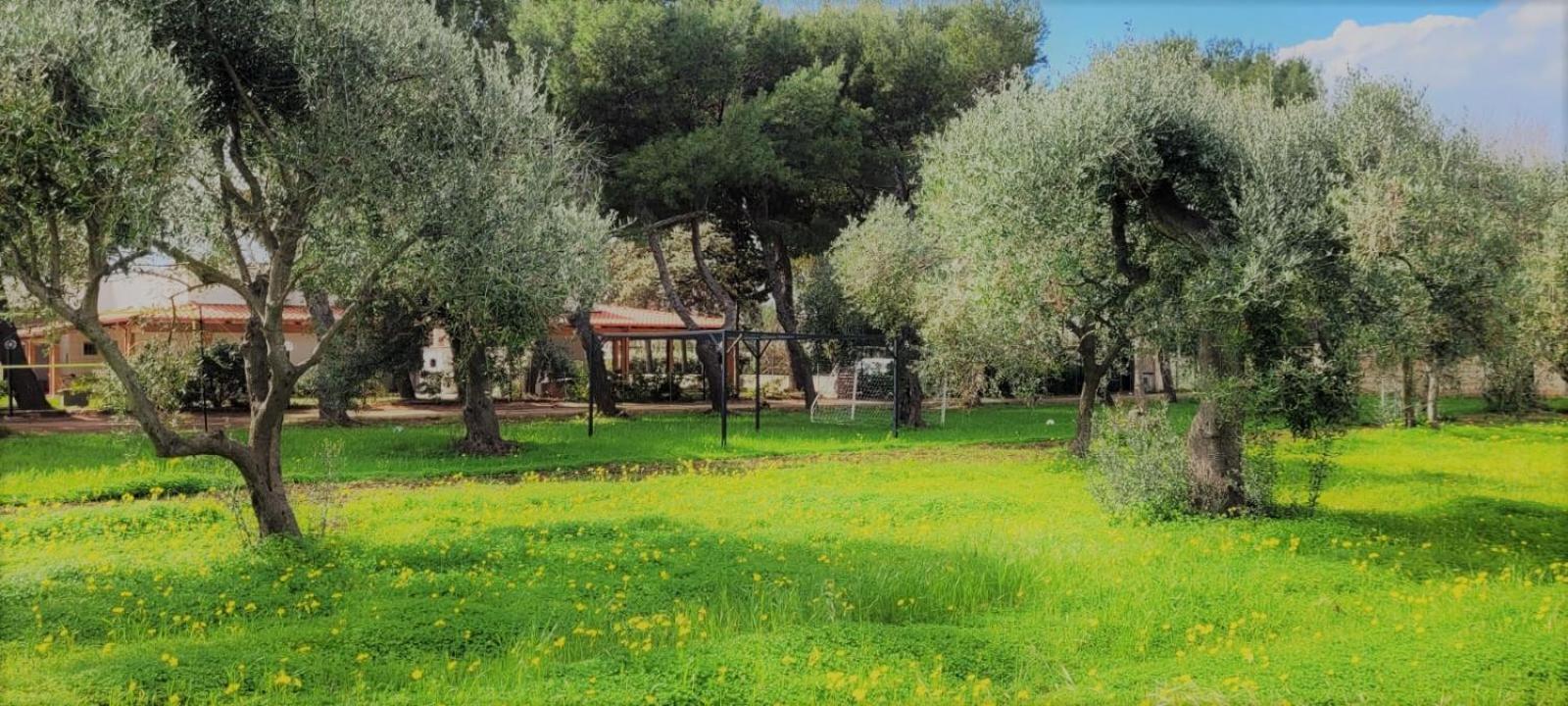 Costanza Ferienhaus Bari