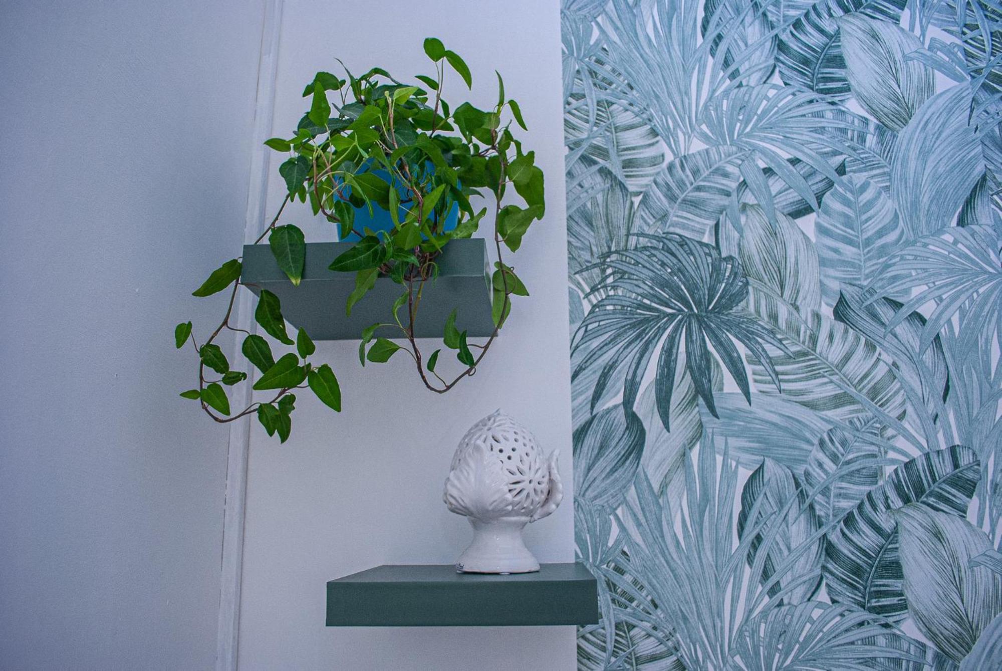 Magnolia Con Giardino Holiday home *