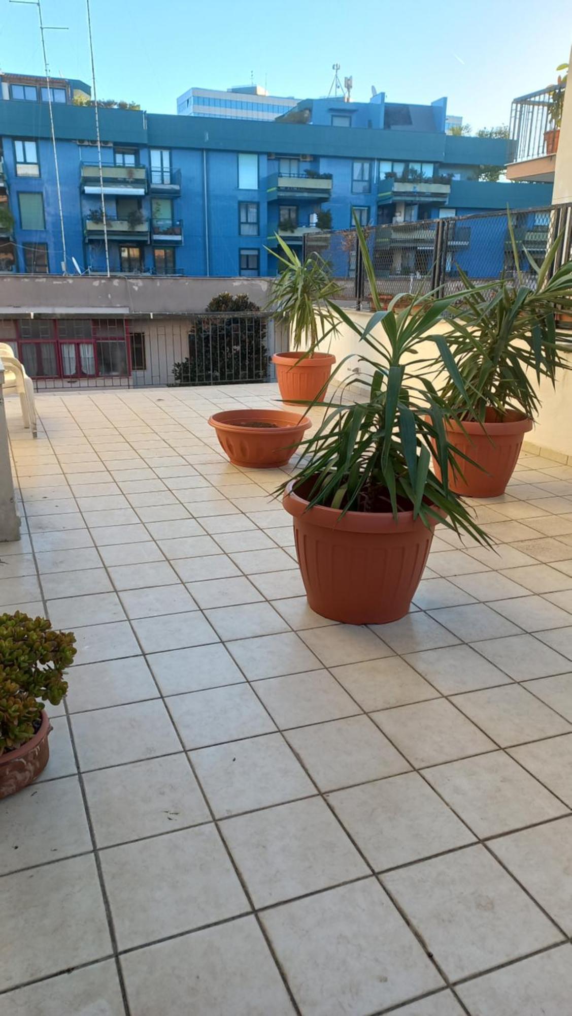 Apartment Oasi Cl *