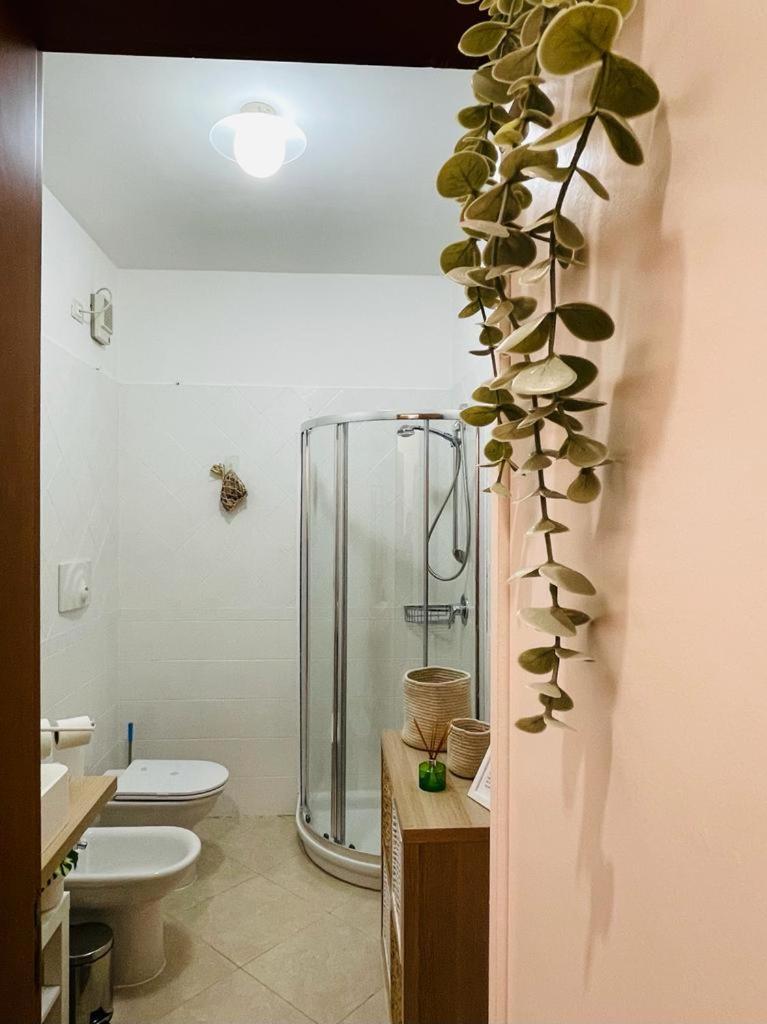 Macada Apartment